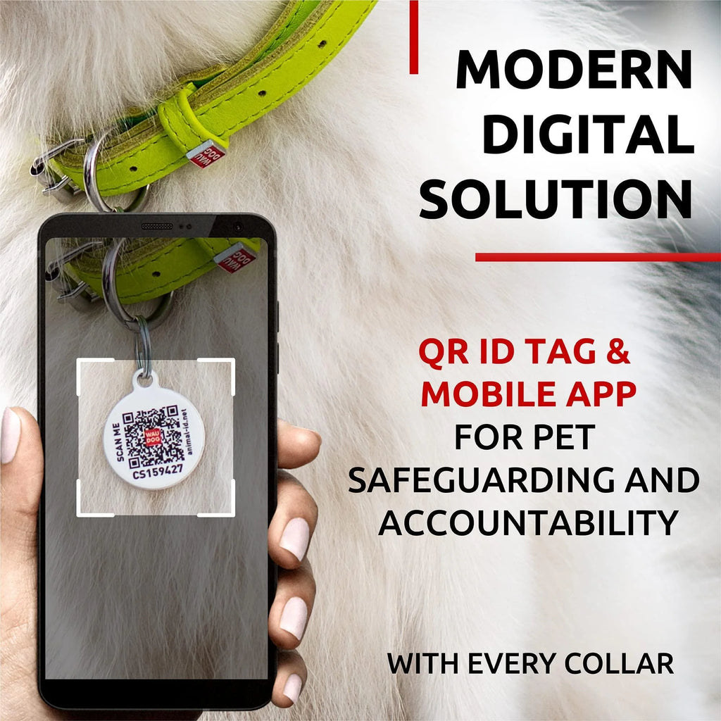 Ultra Soft Rolled Leather Dog Collar 10-13 Neck Soft Padded Dog Collars for Medium Dogs Puppy Collars for Large Breed Dogs Male and Female Dog Collar