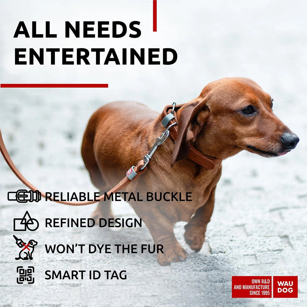 Long Lasting Leather Dog Collar for Xsmall Dogs 811 Inch Neck X 0.5 Inch Wide