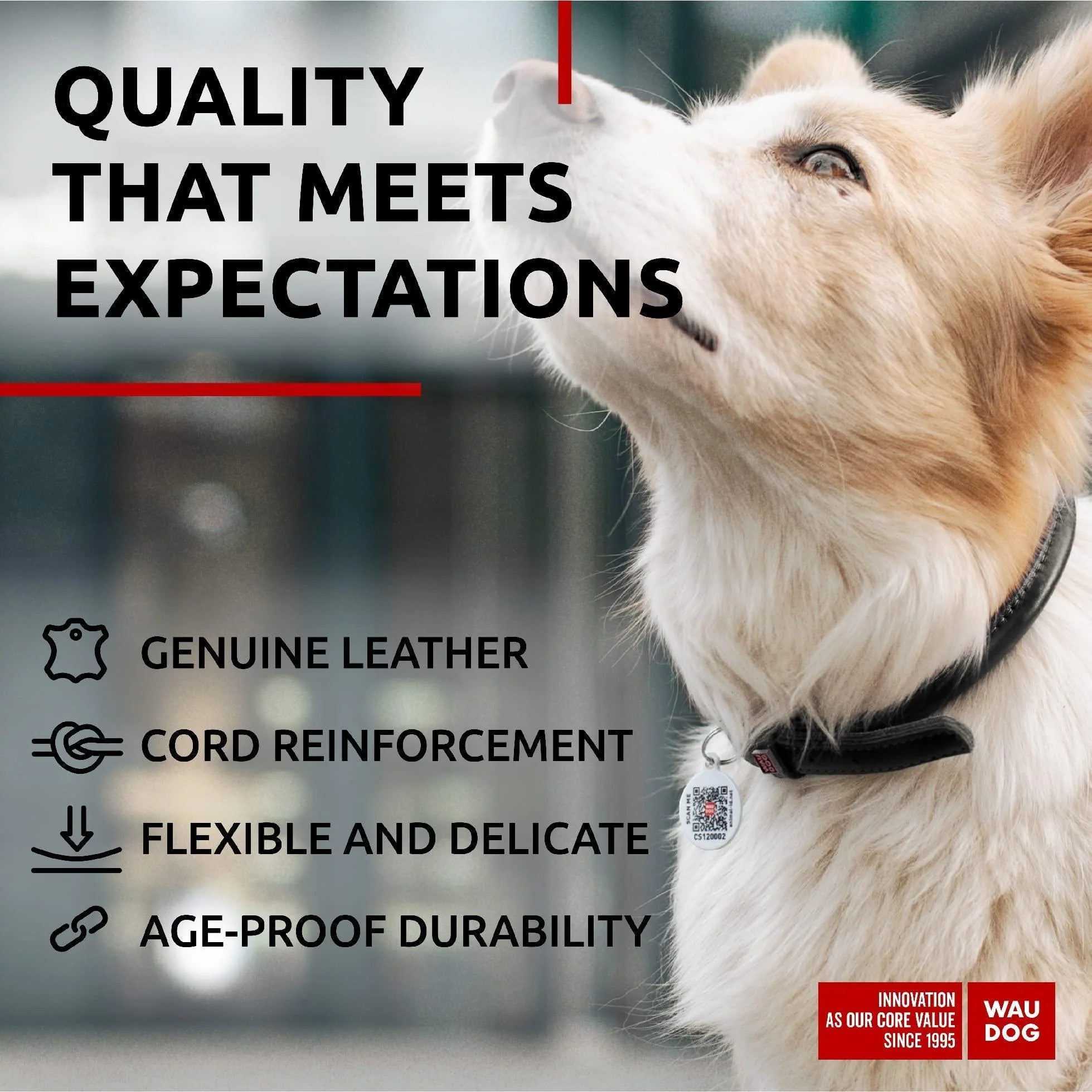Ultra Soft Rolled Leather Dog Collar 13-16 Inch Neck Soft Padded Dog Collars for Medium Dogs Puppy Collars for Large Breed Dogs Male and Female Dog Collar