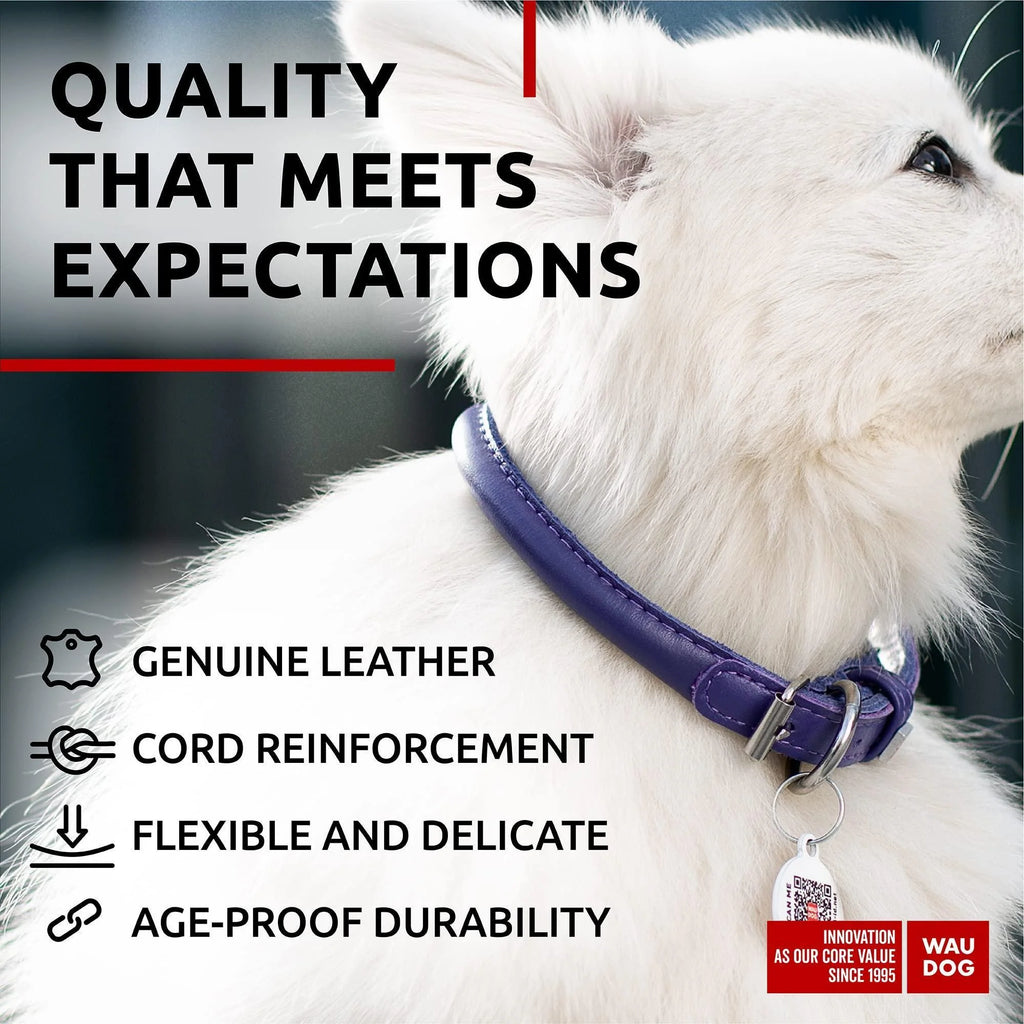 Ultra Soft Rolled Leather Dog Collar 10-13 Inch for Small Dogs Soft Padded Dog Collars for Medium Dogs Puppy Collars for Large Breed Dogs Male and Female Dog Collar